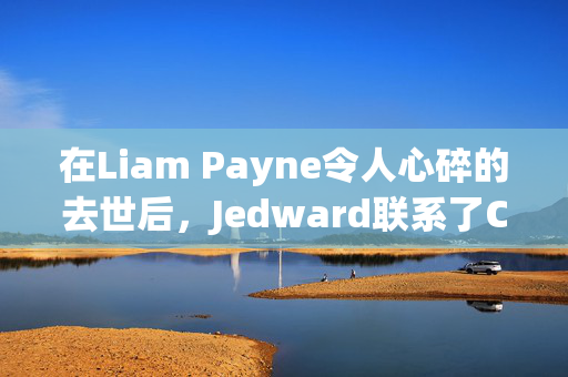 在Liam Payne令人心碎的去世后，Jedward联系了Cheryl和儿子Bear